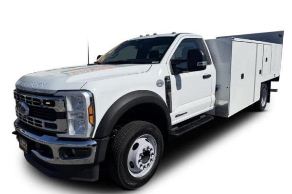 1732699-std